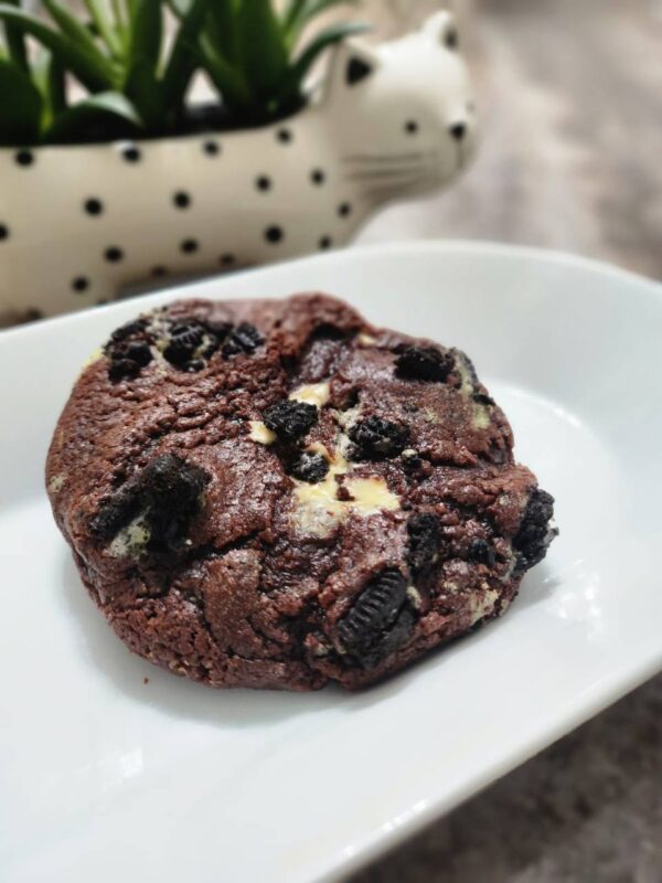 Gooey Chocolate Chip